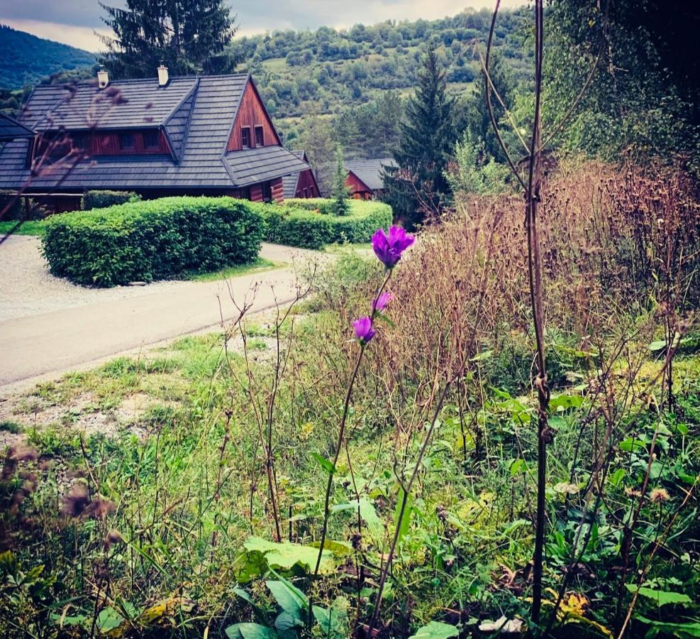 Villa Drevenica Uhorčík Terchová Exterior foto